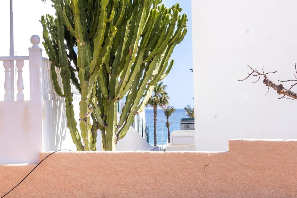 Villa El Arenal A 3 Min De La Playa โมฮาการ์ ภายนอก รูปภาพ